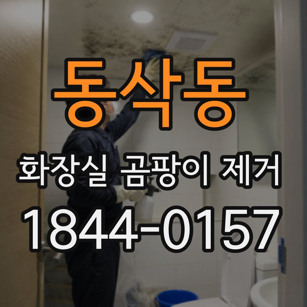 동삭동 화장실 곰팡이 제거