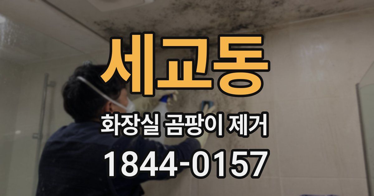 세교동 화장실 곰팡이 제거