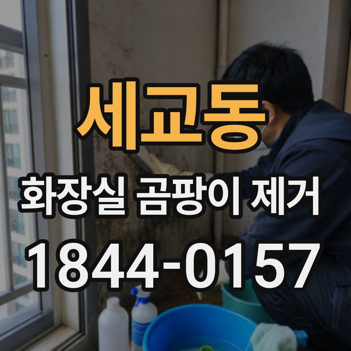 세교동 화장실 곰팡이 제거