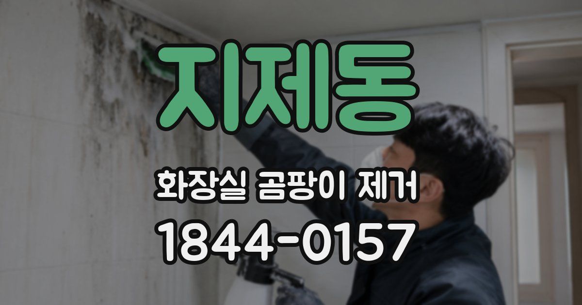 지제동 화장실 곰팡이 제거