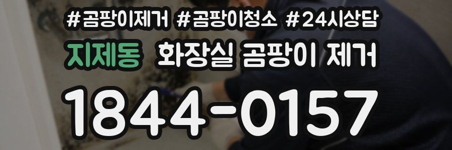 지제동 화장실 곰팡이 제거