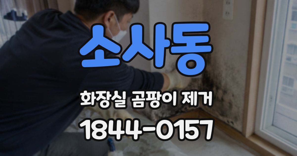 소사동 화장실 곰팡이 제거