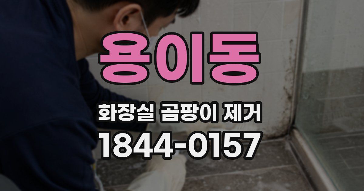 용이동 화장실 곰팡이 제거