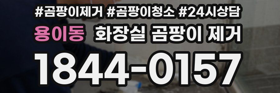 용이동 화장실 곰팡이 제거