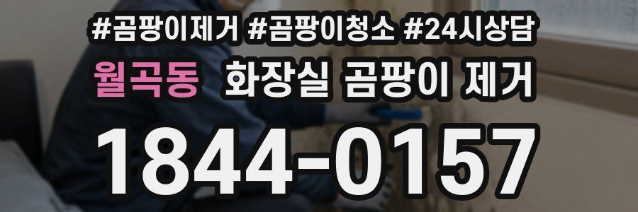 월곡동 화장실 곰팡이 제거