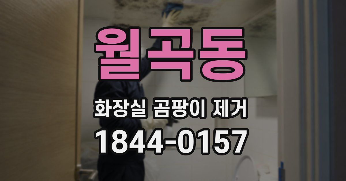 월곡동 화장실 곰팡이 제거
