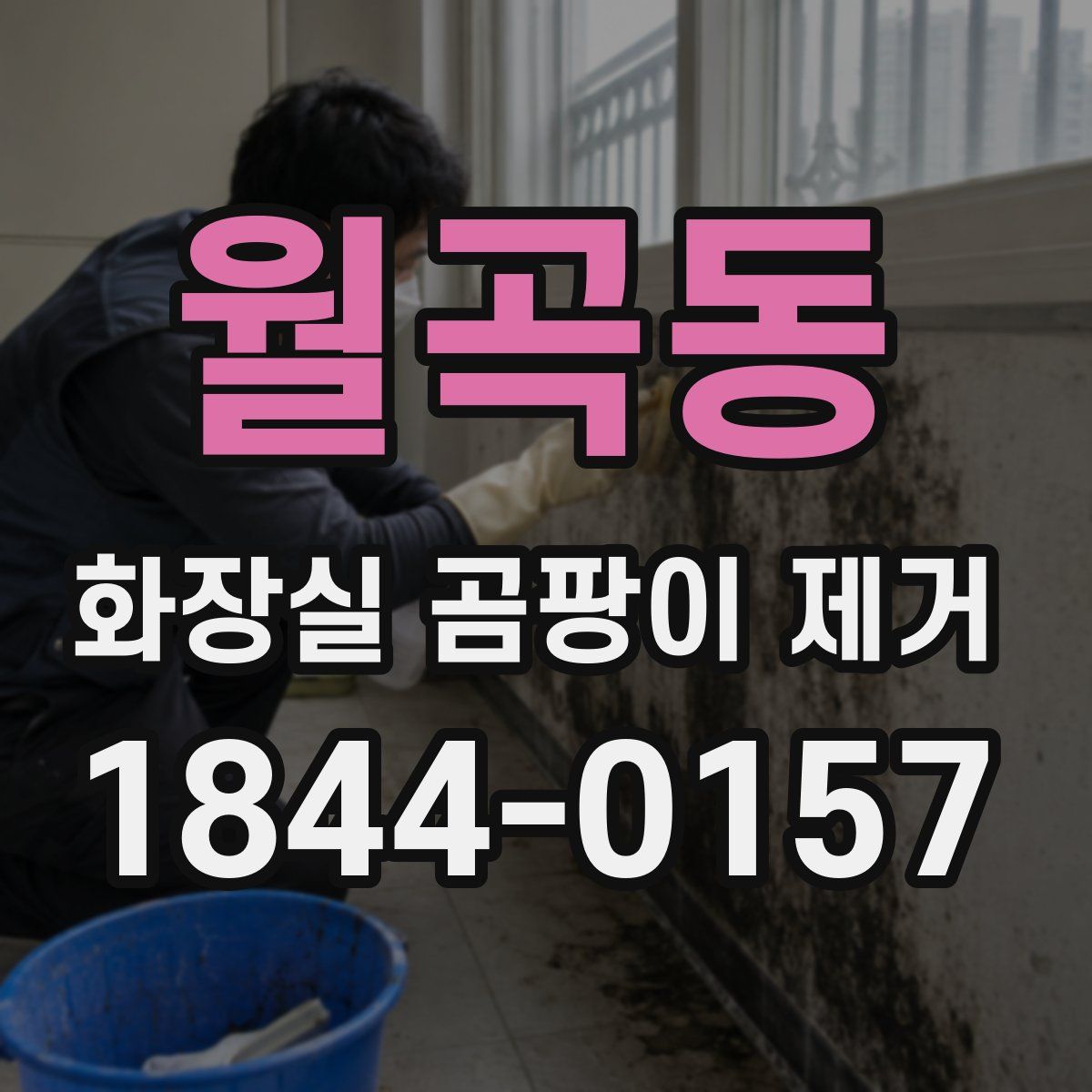 월곡동 화장실 곰팡이 제거