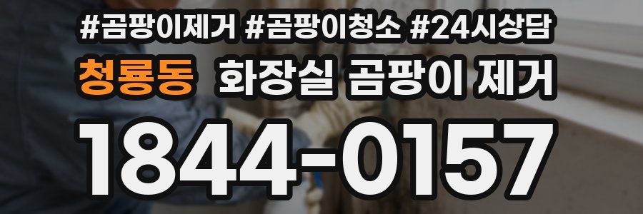 청룡동 화장실 곰팡이 제거