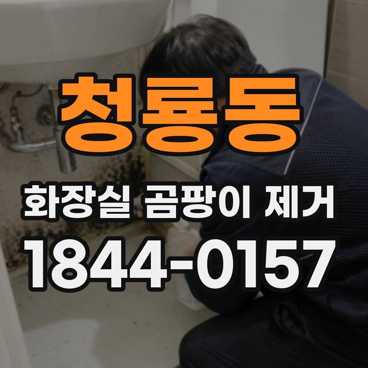 청룡동 화장실 곰팡이 제거