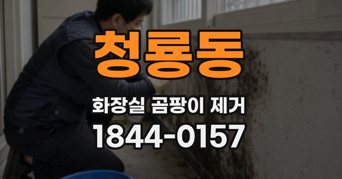 청룡동 화장실 곰팡이 제거