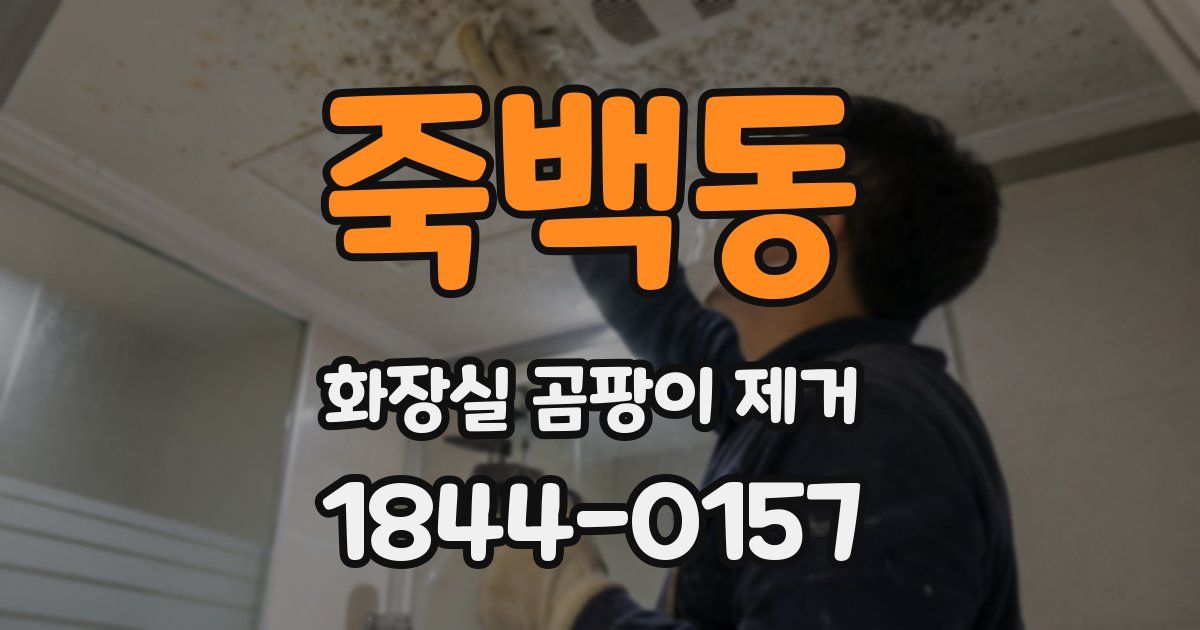 죽백동 화장실 곰팡이 제거