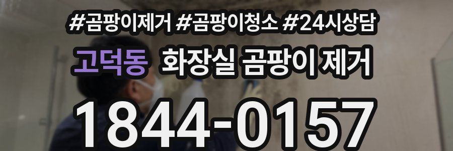 고덕동 화장실 곰팡이 제거