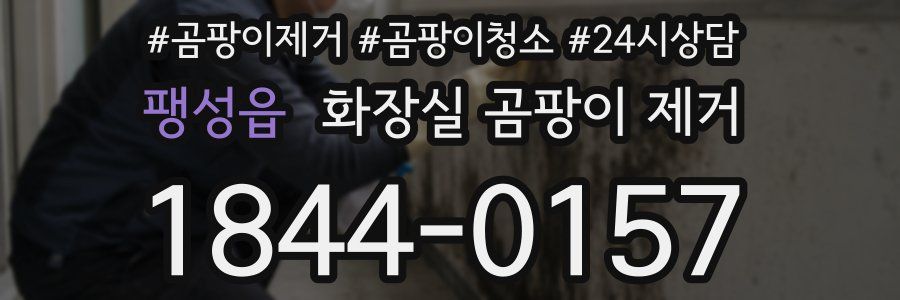팽성읍 화장실 곰팡이 제거