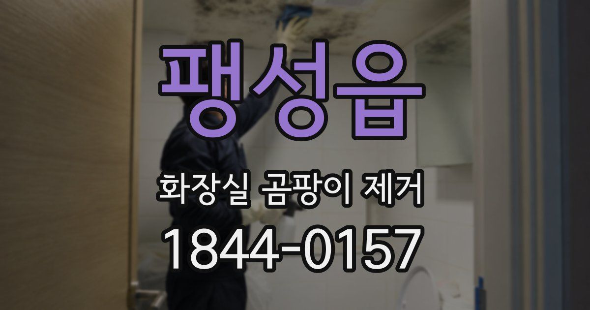 팽성읍 화장실 곰팡이 제거