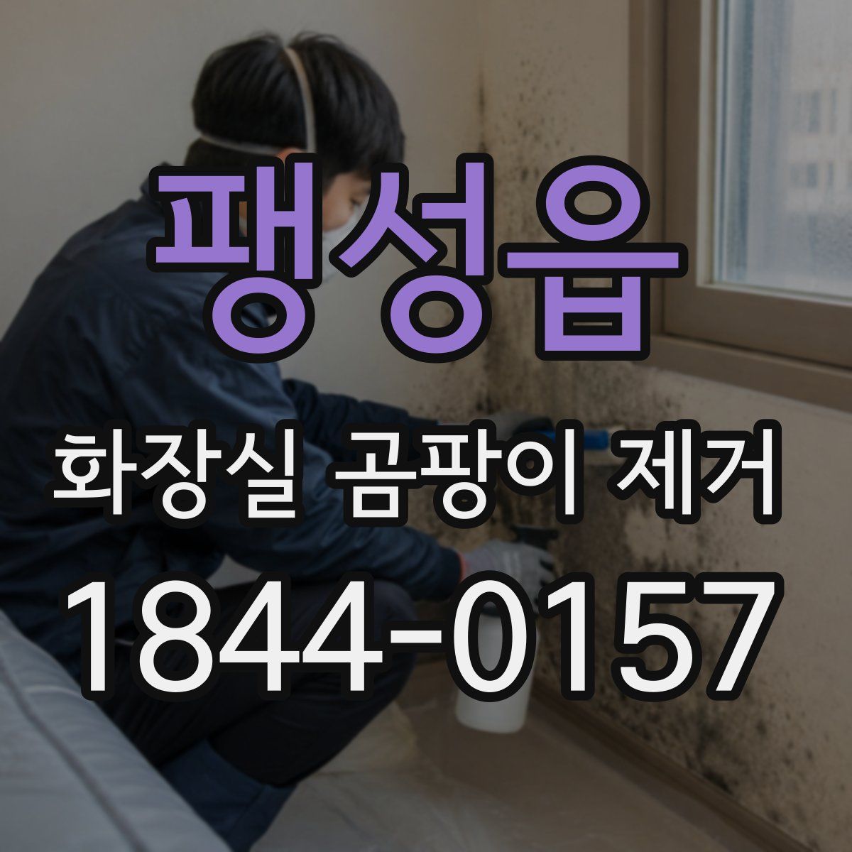팽성읍 화장실 곰팡이 제거
