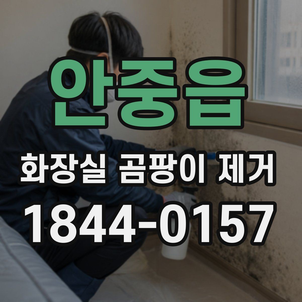 안중읍 화장실 곰팡이 제거 표면 손상 없이 마무리하는 작업 방식