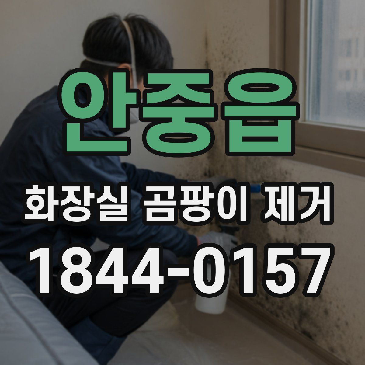 안중읍 화장실 곰팡이 제거