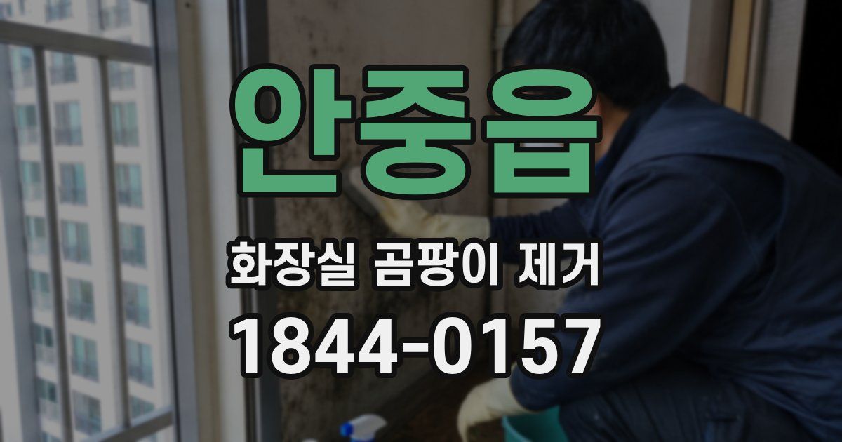 안중읍 화장실 곰팡이 제거