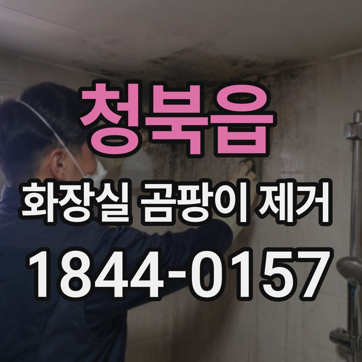 청북읍 화장실 곰팡이 제거 청소만으로 어려운 손상 구간 살피기