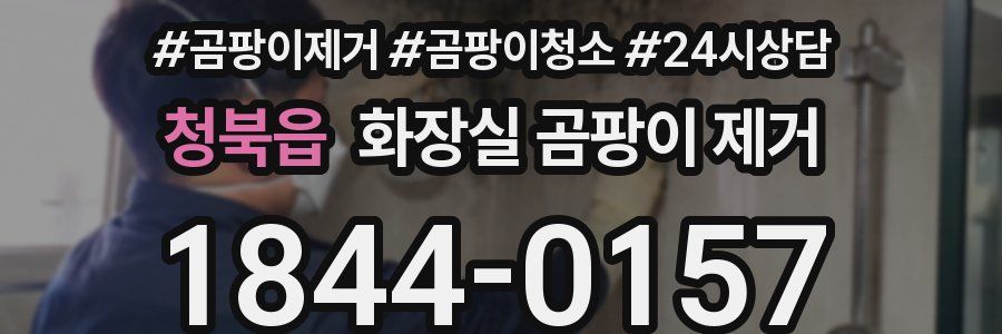 청북읍 화장실 곰팡이 제거
