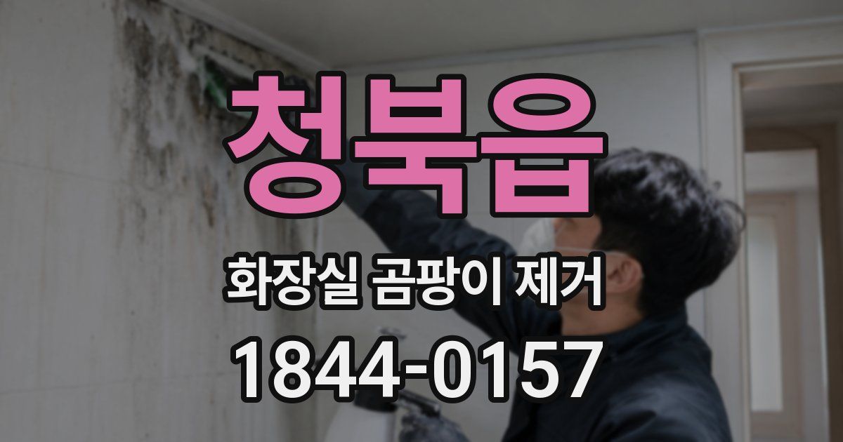 청북읍 화장실 곰팡이 제거