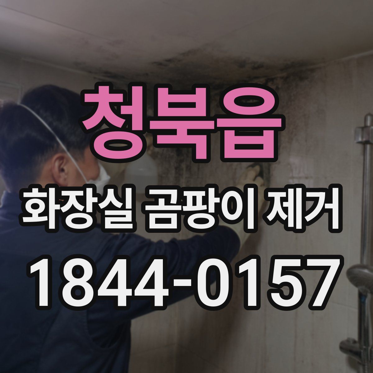 청북읍 화장실 곰팡이 제거
