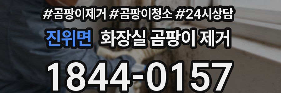 진위면 화장실 곰팡이 제거