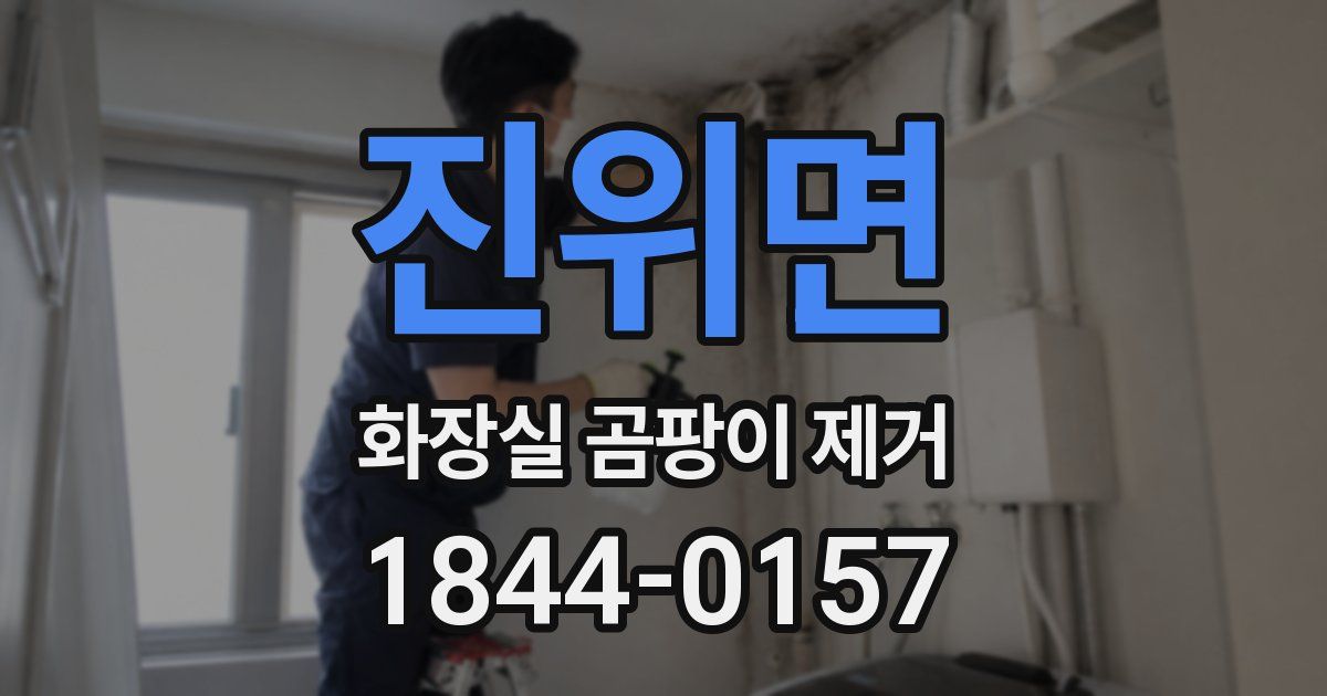 진위면 화장실 곰팡이 제거