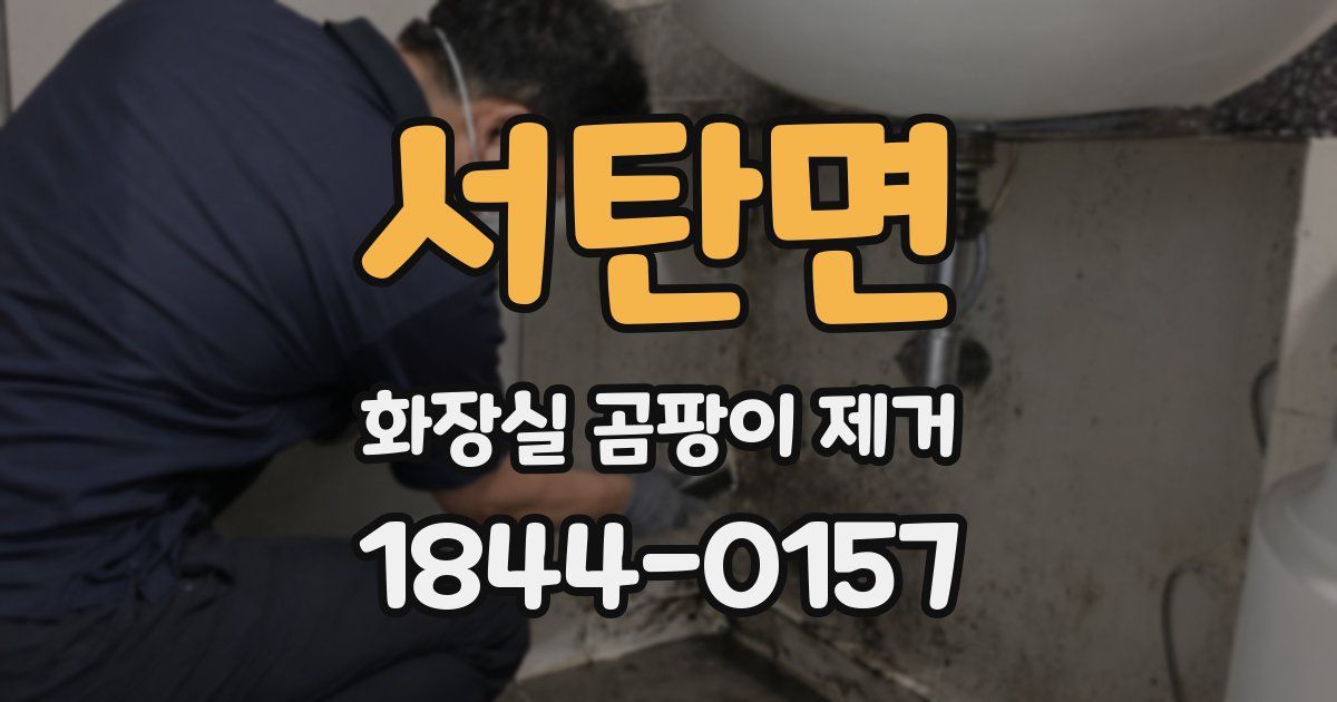 서탄면 화장실 곰팡이 제거