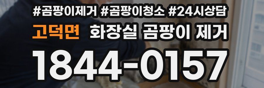 고덕면 화장실 곰팡이 제거