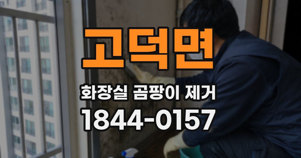 고덕면 화장실 곰팡이 제거