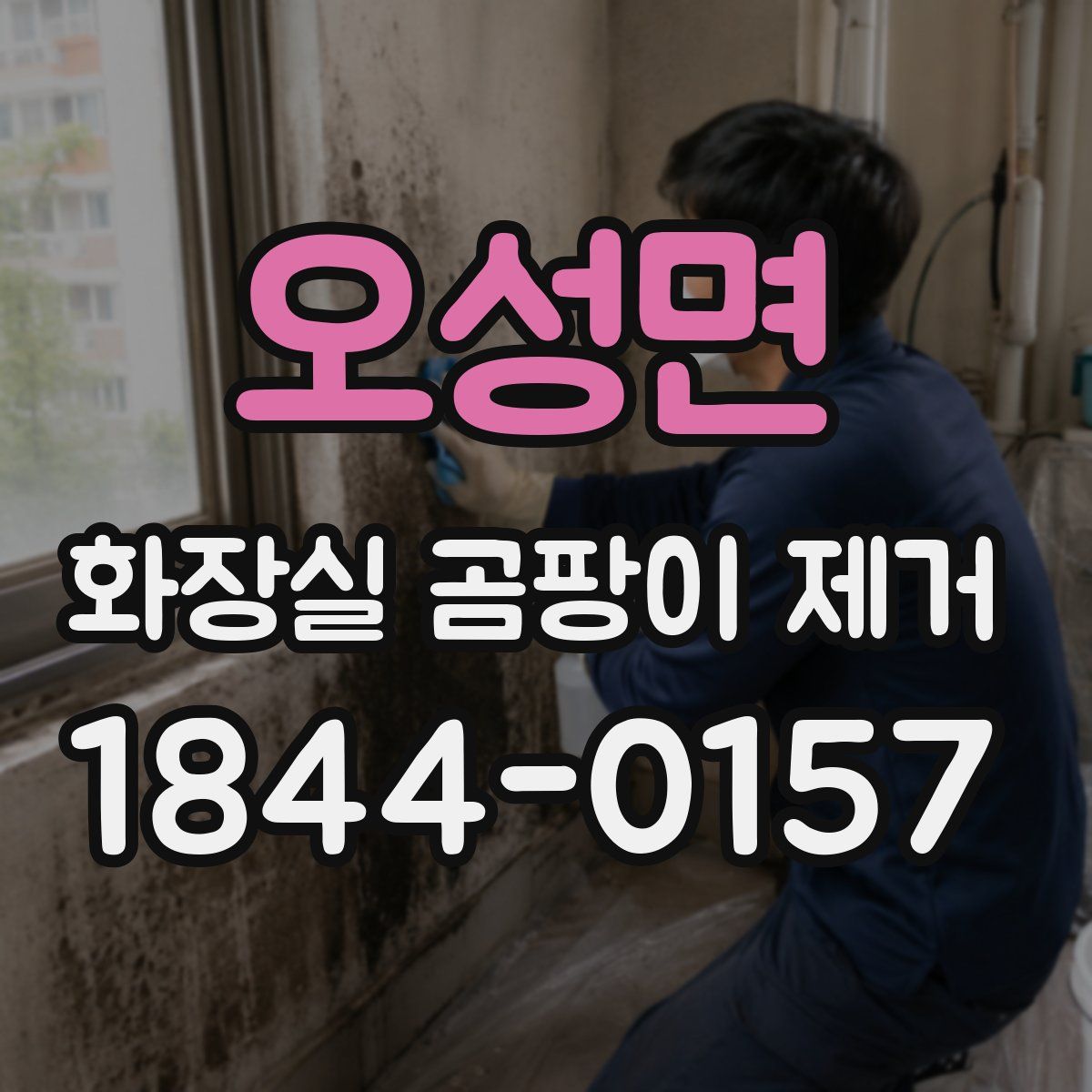 오성면 화장실 곰팡이 제거