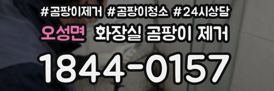 오성면 화장실 곰팡이 제거