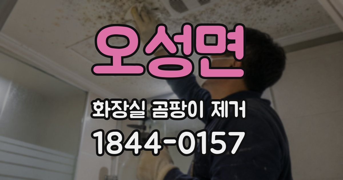 오성면 화장실 곰팡이 제거