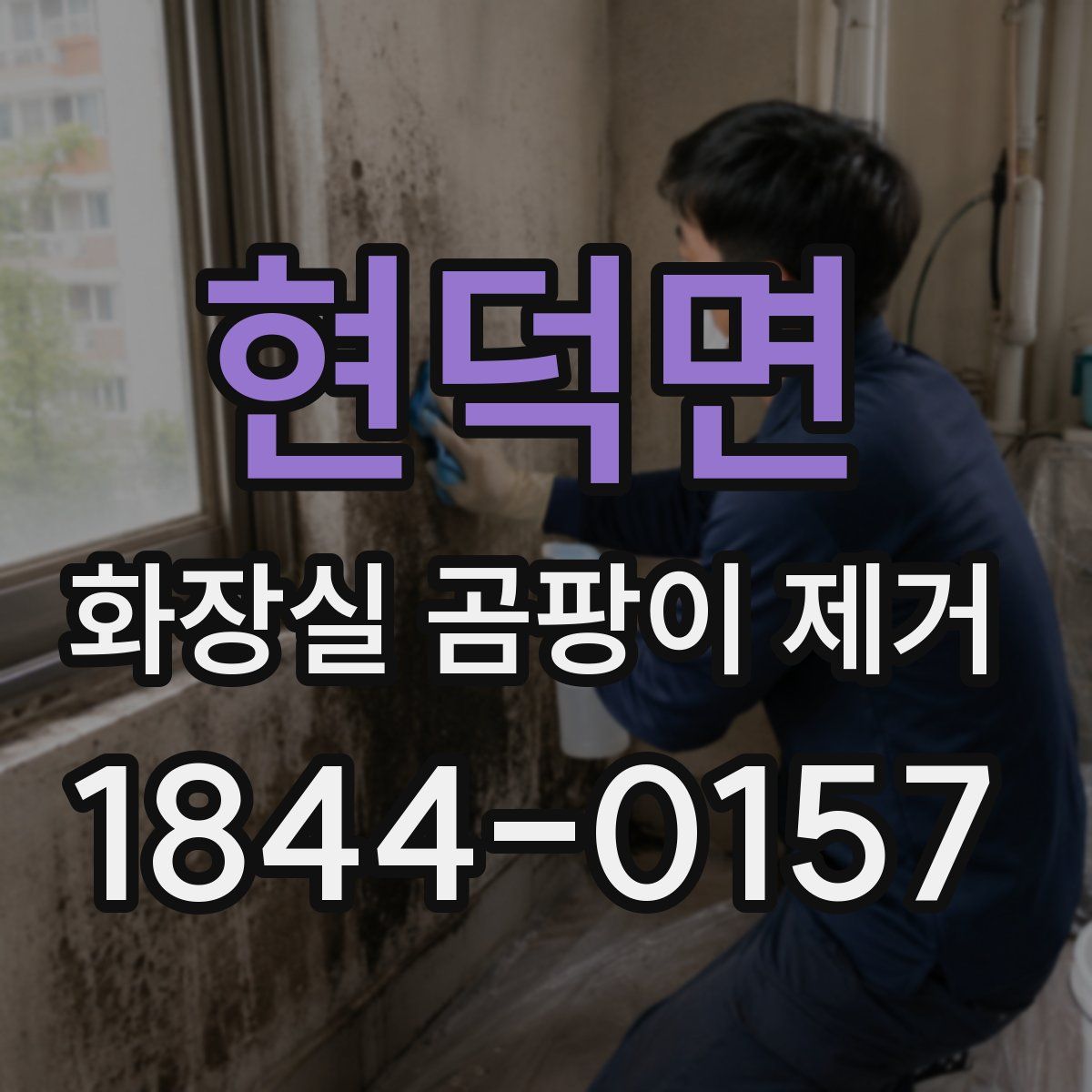 현덕면 화장실 곰팡이 제거