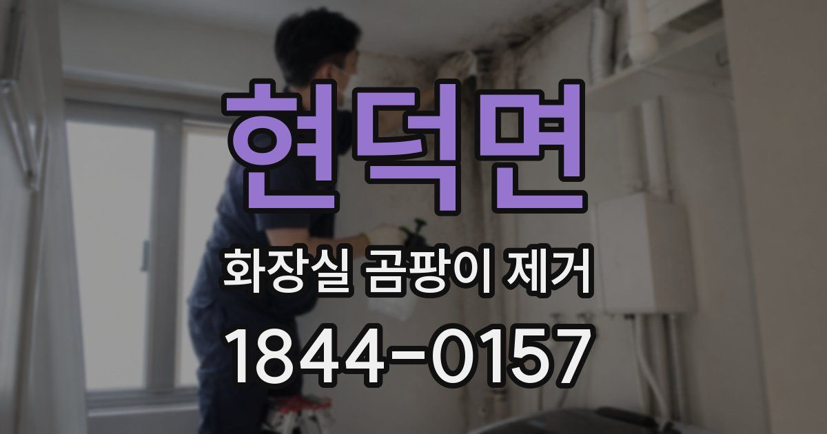 현덕면 화장실 곰팡이 제거