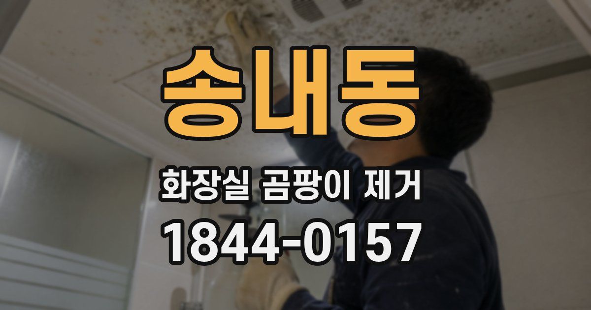 송내동 화장실 곰팡이 제거