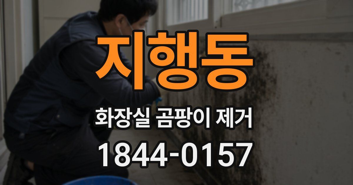 지행동 화장실 곰팡이 제거