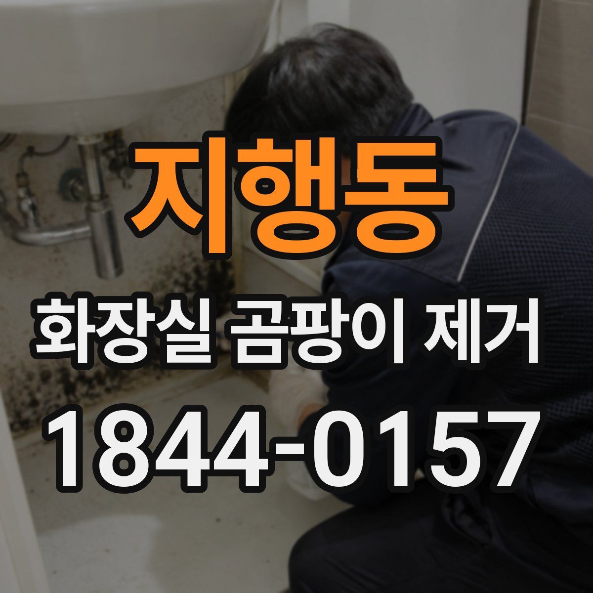 지행동 화장실 곰팡이 제거