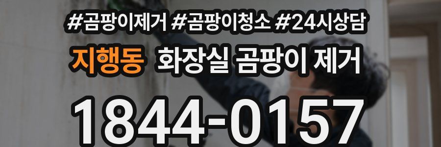 지행동 화장실 곰팡이 제거
