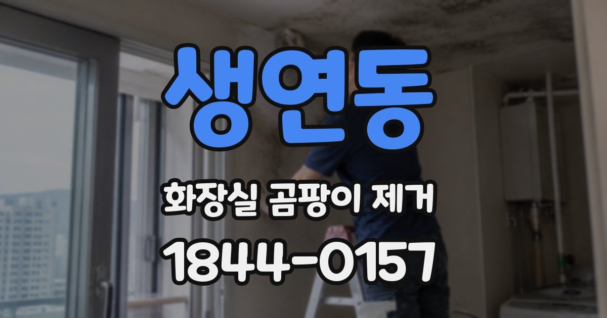 생연동 화장실 곰팡이 제거