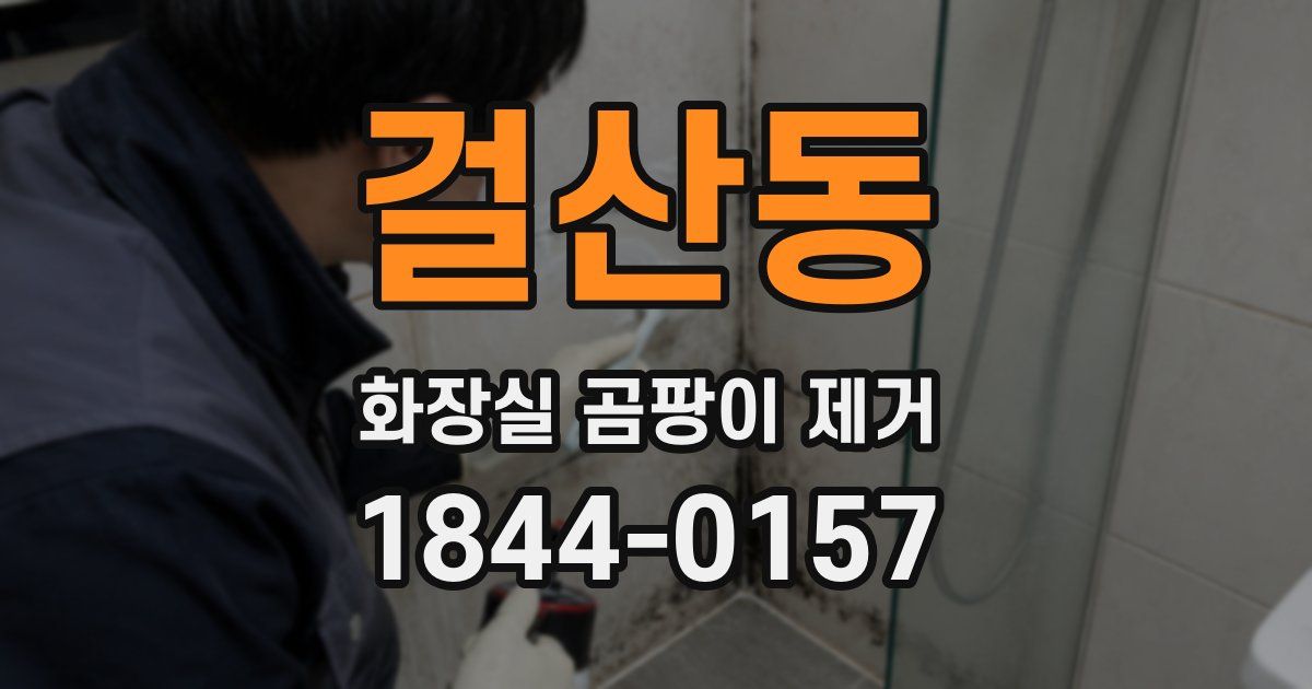 걸산동 화장실 곰팡이 제거