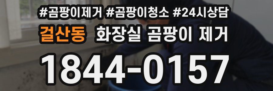 걸산동 화장실 곰팡이 제거
