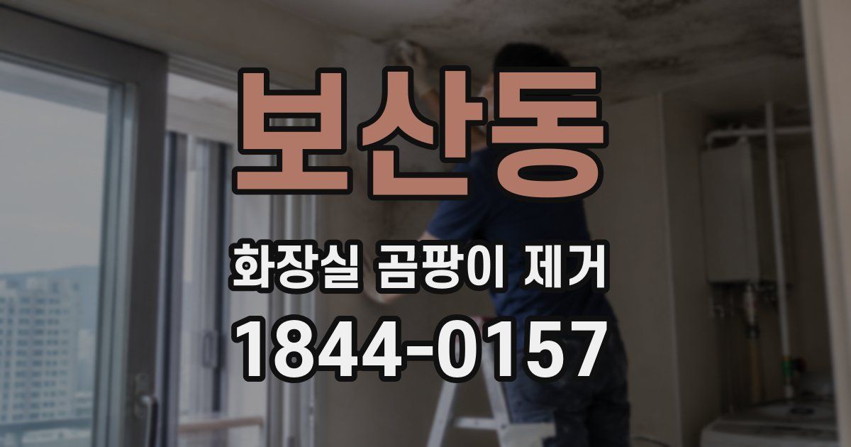 보산동 화장실 곰팡이 제거