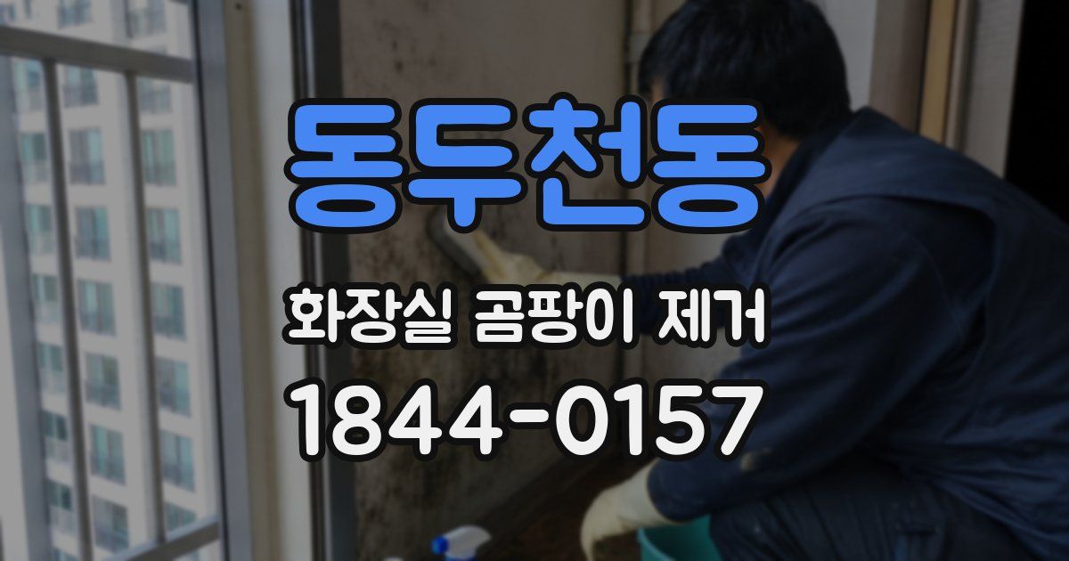 동두천동 화장실 곰팡이 제거
