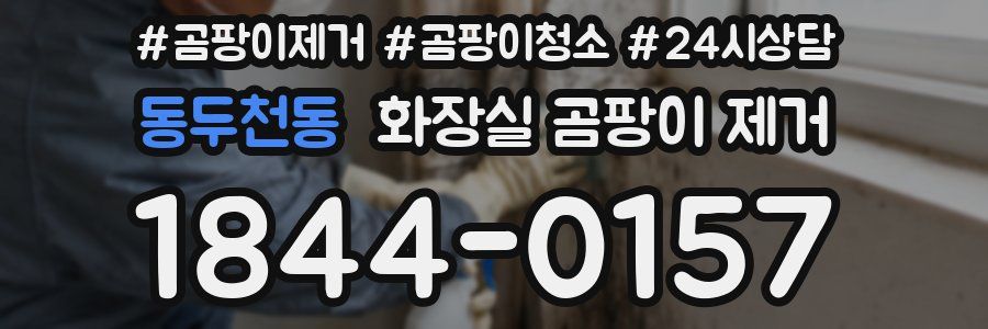 동두천동 화장실 곰팡이 제거