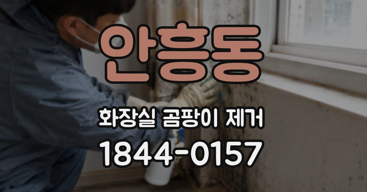 안흥동 화장실 곰팡이 제거