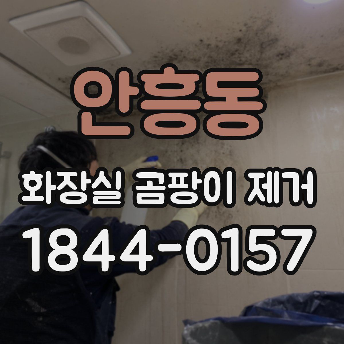 안흥동 화장실 곰팡이 제거
