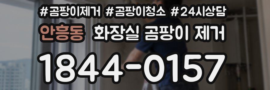 안흥동 화장실 곰팡이 제거
