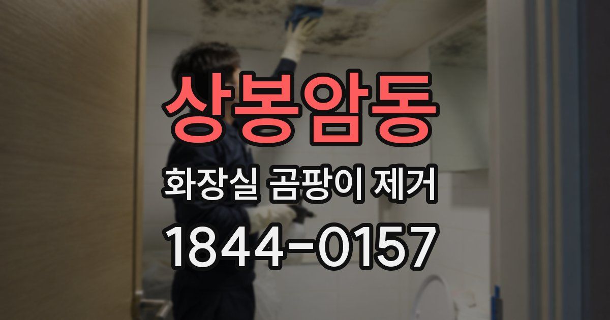 상봉암동 화장실 곰팡이 제거